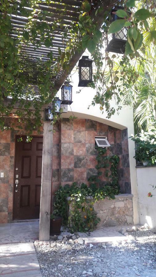 Casa Cacto En San Jose Del Cabo Vila Exterior foto